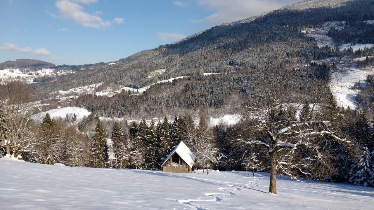 Gite La Chamoussiere Saint-Mury-Monteymond 外观 照片